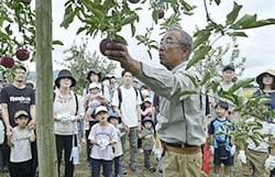 リンゴの特徴など説明する金箱さん（中）と参加者ら