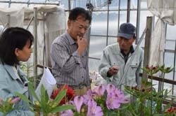 試作圃場で新品種の生育を確認する生産者ら（長野県伊那市で）