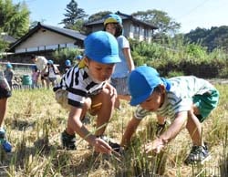 真剣な表情で生き物探しをする園児
