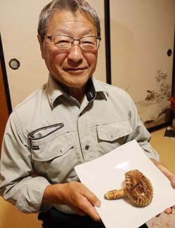 収穫したマツタケと宮下さん