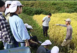松代支部員が稲の刈り方を伝授（長野県長野市松代町、10月18日）