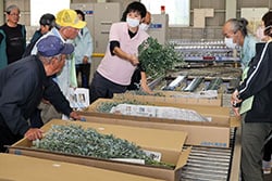 規格を確認する生産者