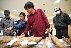 出荷規格を確認する生産者
