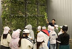 予冷庫のセルリー外葉保管場所を見学する児童