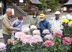 初日の審査会では花の形状・開き具合、全体のバランスなどを慎重に審査した