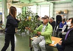 品種の違いを見比べる生産者