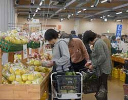 リンゴを吟味する来場者ら