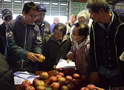 出荷規格を確認する生産者