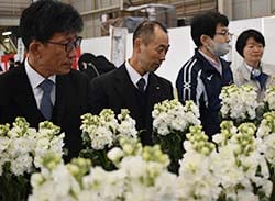 ストックの草姿や形状を評価する審査員ら
