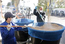 破砕もみに乳酸菌入りの水を加えるSGSの製造作業