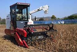 大豆の刈取作業が進むほ場