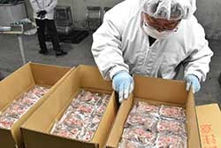 「市田柿」の検品作業