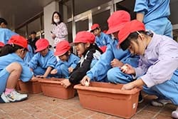 プランターにチューリップの球根を植える児童