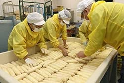 上野大根を漬け込む組合員