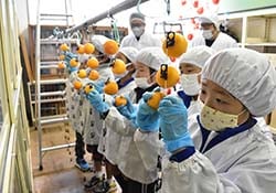真剣な表情で吊るし作業をする児童（長野県飯田市で）