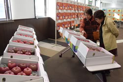 展示された「チャンピオンふじ」を楽しむ地元住民