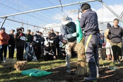 ブドウの防寒対策を学ぶ参加者ら