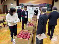 審査会でサンふじの品質を確認する審査員