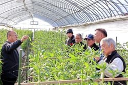 栽培管理を学ぶ生産者