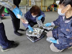 楽しみながら燻製に挑戦する部員ら