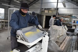 播種機を使って種をまく生産者