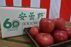 安曇野産のサンふじ