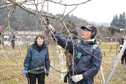 残す枝の見極め方を教えながら作業する会員ら
