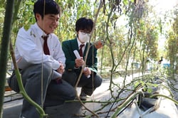 「ココバック栽培」を見学する生徒ら
