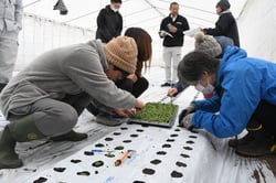 定植作業に挑戦する受講生