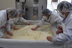 こうじ菌を混ぜて米こうじを作る組合員（長野県伊那市で）