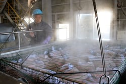 水稲種もみを温湯消毒する職員