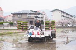 8条田植え機で苗を植える宮澤さん