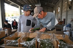 規格を確認する生産者