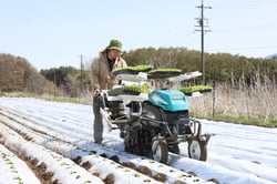 移植機でレタスを定植する久保さん
