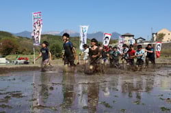 田んぼで元気よく走り代かきをする児童