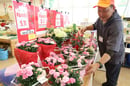 生産者が丹精込めた花鉢が並ぶ特設売り場