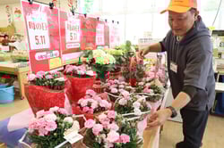生産者が丹精込めた花鉢が並ぶ特設売り場