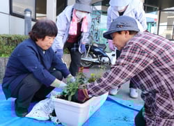 プランターに花苗を寄せ植える部員（長野県岡谷市で）