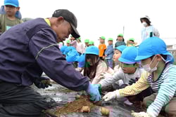 沖津さん（左）に教わりながらジャガイモを植えつける園児
