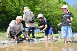 「こんな山辺にするじゃん会」のメンバーに教わりながら田植えをする児童たち