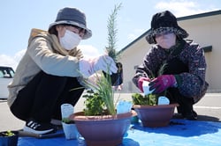 見栄えを考えながら“食べられる”葉物の寄せ植えを楽しむ大学院生