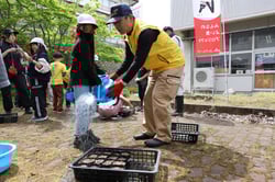 ポットにニチニチソウの種を植える児童
