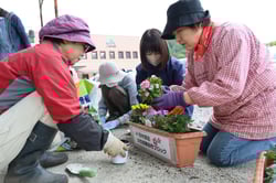プランターに花苗を植える部員