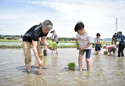 和気あいあいと苗を植えつける親子ら