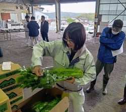 出来栄えを確認する職員（長野県茅野市で）