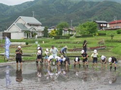 田植えをする児童ら