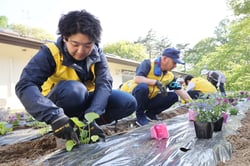 花壇に花苗を定植する参加者