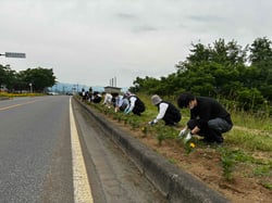 定植をしているJA職員ら