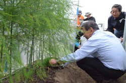 アスパラガスの立茎を確認する生産者ら