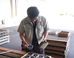 検品作業を行う職員